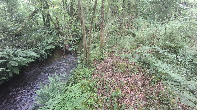 Ma-Cabane - Vente Terrain SAINT-JEAN-BREVELAY, 22230 m²