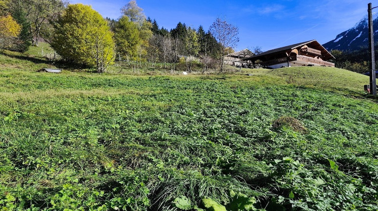 Ma-Cabane - Vente Terrain SAINT JEAN D AULPS, 913 m²