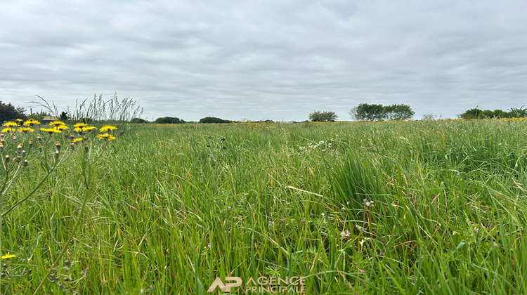 Ma-Cabane - Vente Terrain SAINT-JEAN-DE-LIVERSAY, 4456 m²