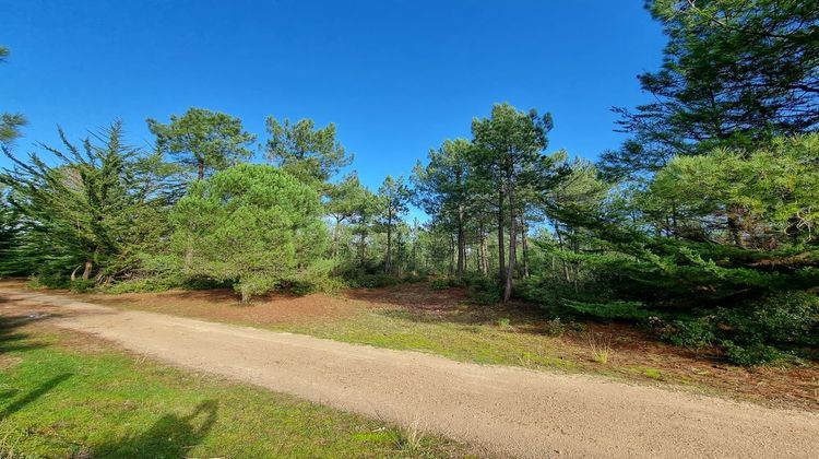 Ma-Cabane - Vente Terrain Saint-Jean-de-Monts, 1453 m²