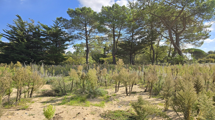 Ma-Cabane - Vente Terrain Saint-Jean-de-Monts, 597 m²