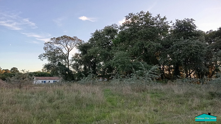 Ma-Cabane - Vente Terrain SAINT-JEAN-DE-MONTS, 502 m²