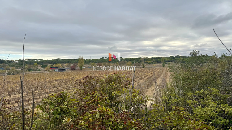 Ma-Cabane - Vente Terrain Saint-Jean-de-Védas, 1168 m²