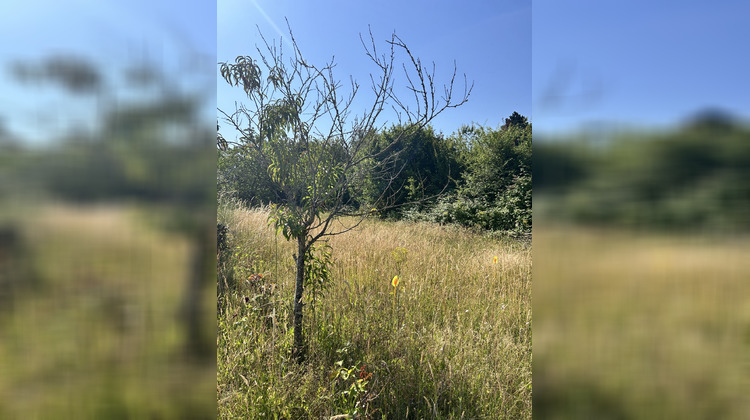 Ma-Cabane - Vente Terrain Saint-Jean-le-Blanc, 647 m²