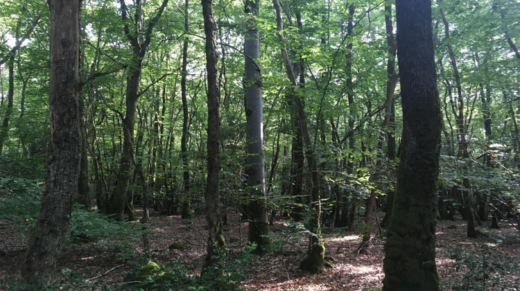 Ma-Cabane - Vente Terrain SAINT-JEAN-LES-DEUX-JUMEAUX, 1177 m²