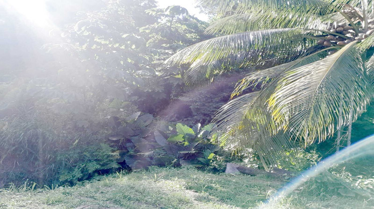 Ma-Cabane - Vente Terrain Saint-Joseph, 1266 m²