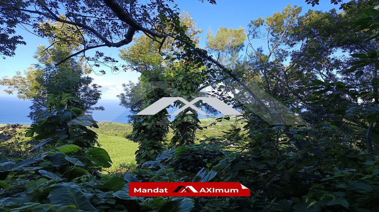 Ma-Cabane - Vente Terrain Saint-Joseph, 2070 m²