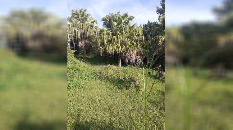 Ma-Cabane - Vente Terrain Saint-Joseph, 250 m²