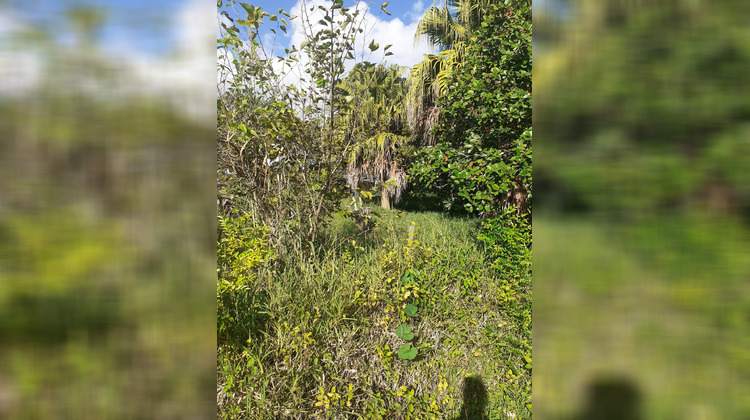 Ma-Cabane - Vente Terrain Saint-Joseph, 250 m²