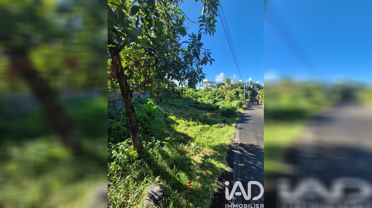 Ma-Cabane - Vente Terrain Saint-Joseph, 1299 m²