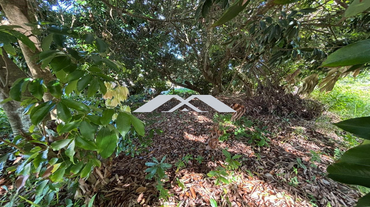 Ma-Cabane - Vente Terrain saint joseph, 300 m²