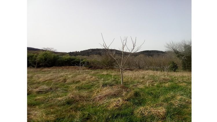 Ma-Cabane - Vente Terrain SAINT-JULIEN-DE-LAMPON, 1654 m²