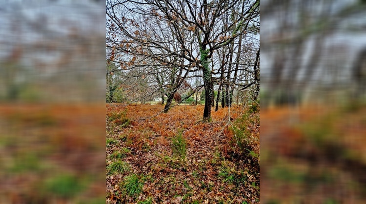 Ma-Cabane - Vente Terrain SAINT JULIEN EN BORN, 2050 m²