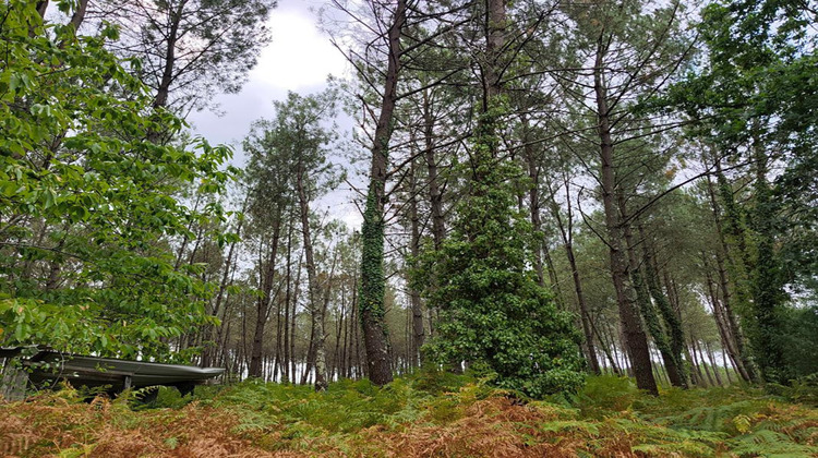 Ma-Cabane - Vente Terrain SAINT JULIEN EN BORN, 40000 m²