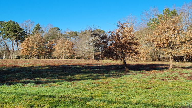 Ma-Cabane - Vente Terrain SAINT LAURENT DES HOMMES, 11408 m²