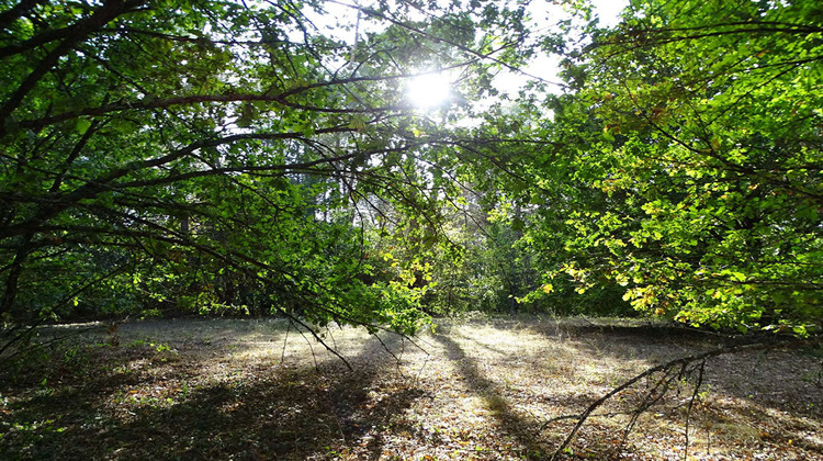 Ma-Cabane - Vente Terrain SAINT-LAURENT-DES-HOMMES, 5000 m²