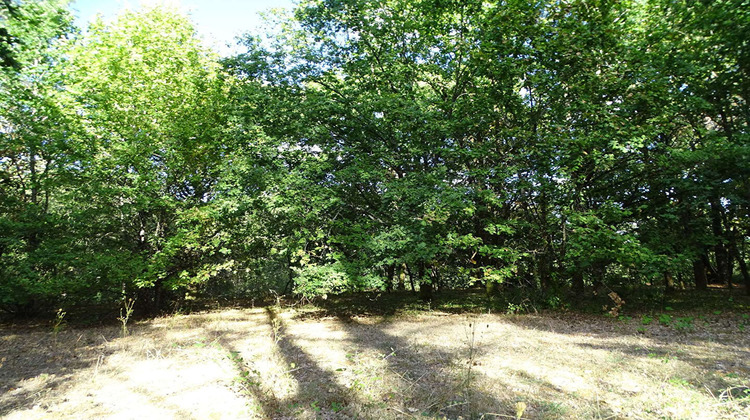 Ma-Cabane - Vente Terrain SAINT-LAURENT-DES-HOMMES, 5000 m²