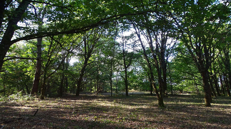 Ma-Cabane - Vente Terrain SAINT-LAURENT-DES-HOMMES, 5000 m²