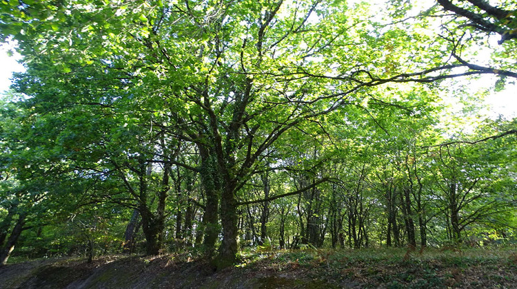 Ma-Cabane - Vente Terrain SAINT-LAURENT-DES-HOMMES, 5000 m²