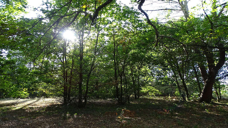Ma-Cabane - Vente Terrain SAINT-LAURENT-DES-HOMMES, 5000 m²
