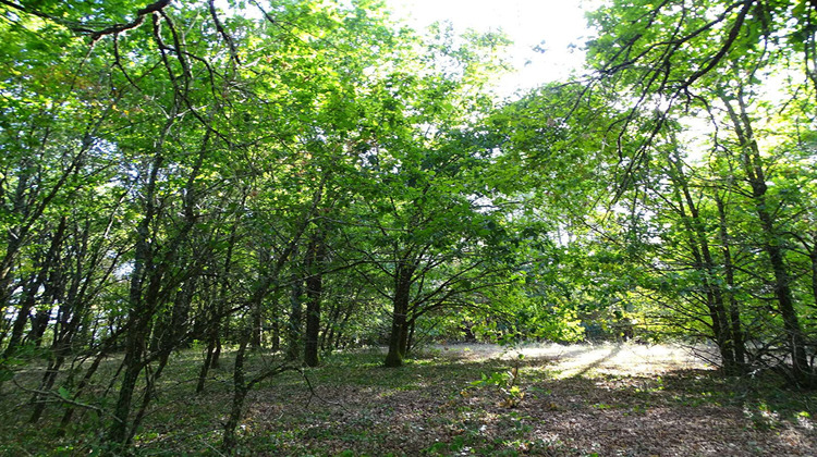 Ma-Cabane - Vente Terrain SAINT-LAURENT-DES-HOMMES, 5000 m²