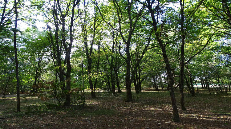 Ma-Cabane - Vente Terrain SAINT-LAURENT-DES-HOMMES, 10260 m²