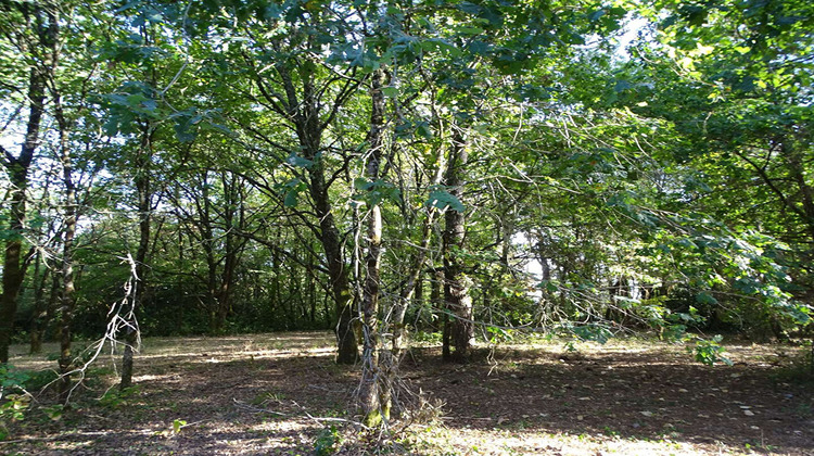 Ma-Cabane - Vente Terrain SAINT-LAURENT-DES-HOMMES, 10260 m²