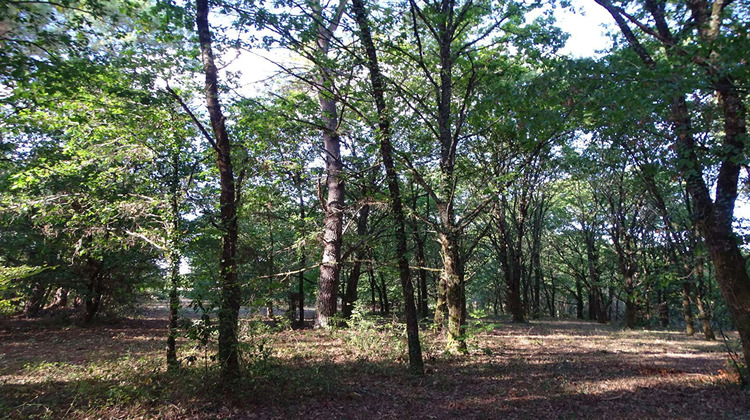 Ma-Cabane - Vente Terrain SAINT-LAURENT-DES-HOMMES, 10260 m²
