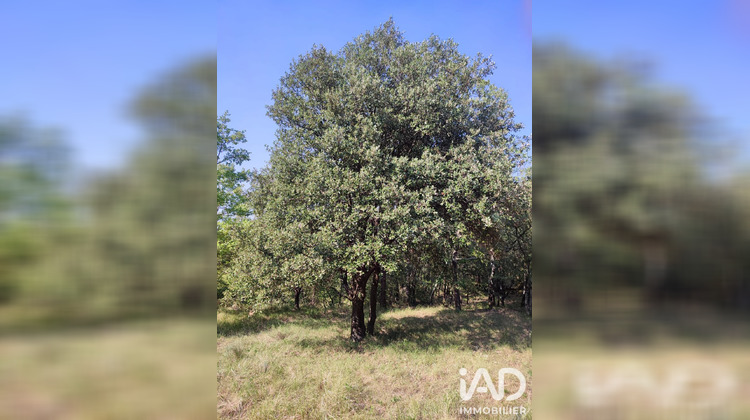 Ma-Cabane - Vente Terrain Saint-Laurent-le-Minier, 5647 m²