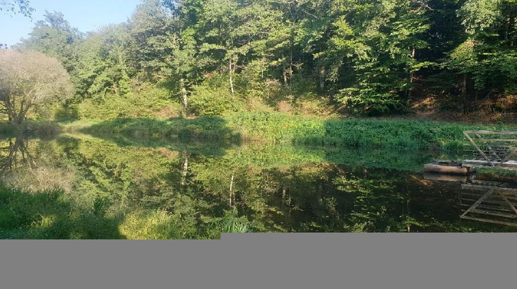 Ma-Cabane - Vente Terrain SAINT LEONARD DE NOBLAT, 21498 m²