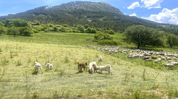 Ma-Cabane - Vente Terrain SAINT LIONS, 989 m²