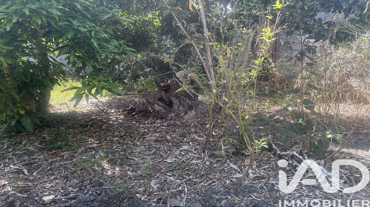 Ma-Cabane - Vente Terrain Saint-Louis, 404 m²