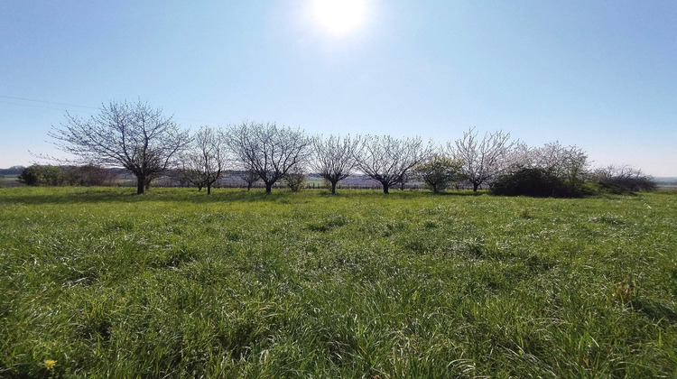 Ma-Cabane - Vente Terrain SAINT MAIGRIN, 5642 m²