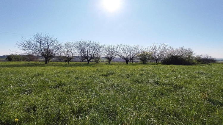 Ma-Cabane - Vente Terrain SAINT MAIGRIN, 5642 m²