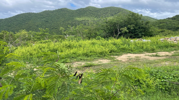 Ma-Cabane - Vente Terrain SAINT MARTIN, 1504 m²