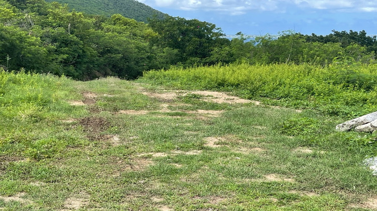 Ma-Cabane - Vente Terrain SAINT MARTIN, 1504 m²