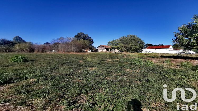 Ma-Cabane - Vente Terrain Saint Martin d'Ary, 3824 m²