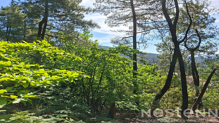 Ma-Cabane - Vente Terrain SAINT-MARTIN-DE-BOUBAUX, 24800 m²