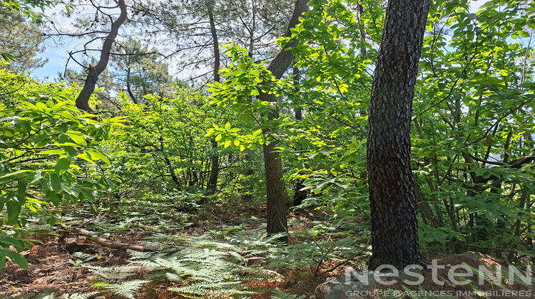 Ma-Cabane - Vente Terrain SAINT-MARTIN-DE-BOUBAUX, 24800 m²