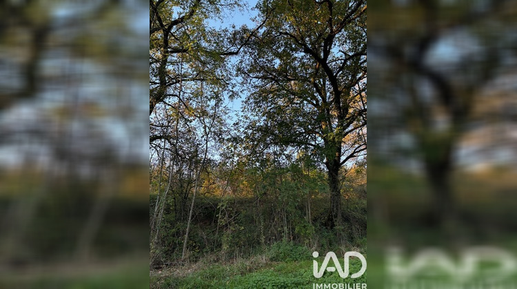 Ma-Cabane - Vente Terrain Saint-Martin-de-Fressengeas, 2445 m²