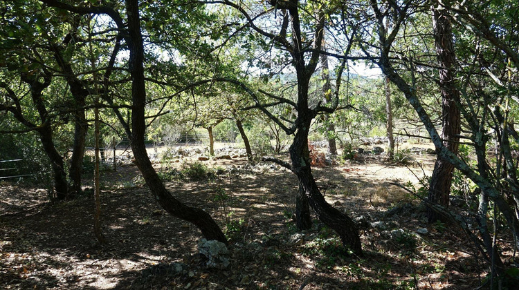 Ma-Cabane - Vente Terrain Saint-Maximin-la-Sainte-Baume, 3025 m²
