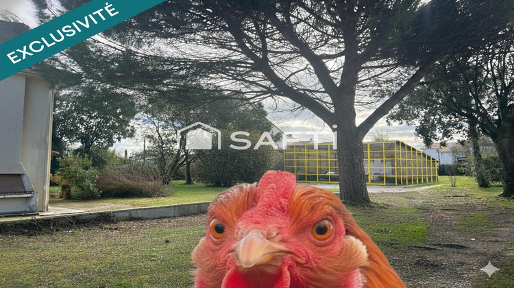 Ma-Cabane - Vente Terrain Saint-Medard-en-Jalles, 1190 m²