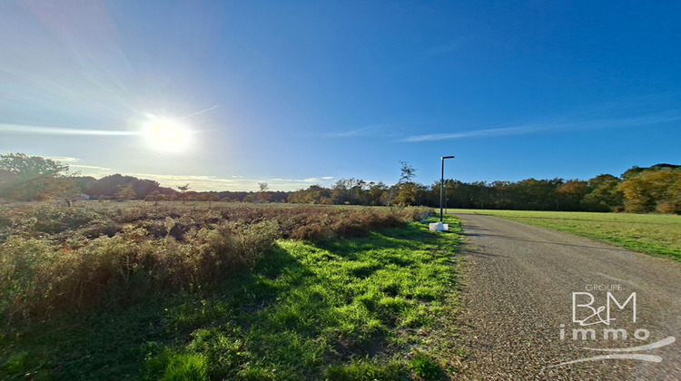 Ma-Cabane - Vente Terrain SAINT-MICHEL-ESCALUS, 742 m²