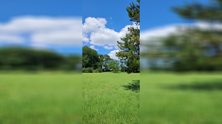 Ma-Cabane - Vente Terrain Saint-Michel-sur-Ternoise, 8274 m²