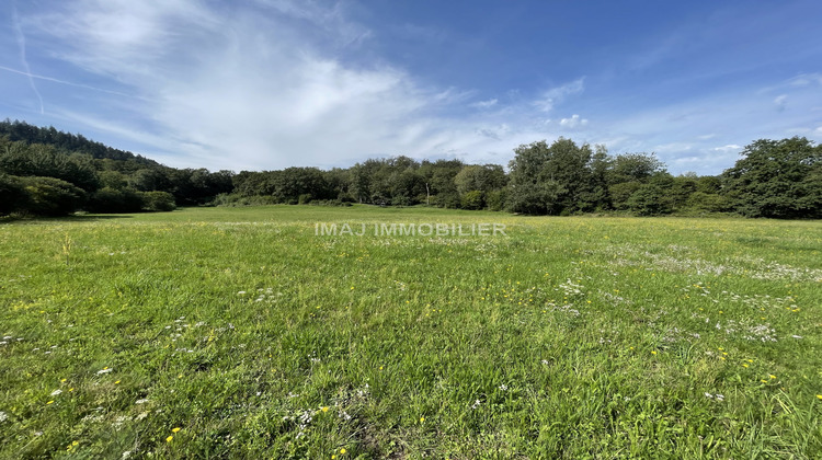 Ma-Cabane - Vente Terrain Saint-Nabord, 6146 m²