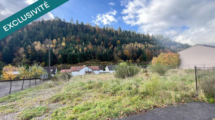 Ma-Cabane - Vente Terrain Saint-Nabord, 941 m²