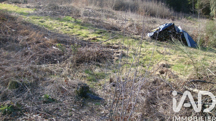 Ma-Cabane - Vente Terrain Saint Nabord, 6800 m²