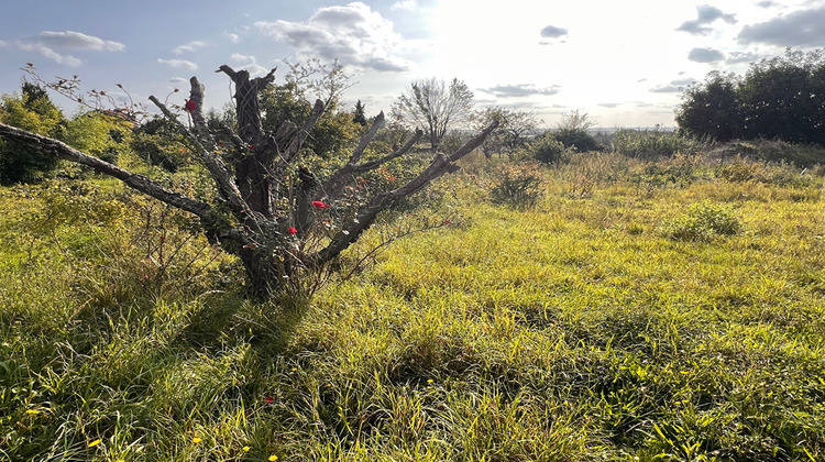 Ma-Cabane - Vente Terrain SAINT-NOM-LA-BRETECHE, 1150 m²