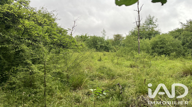 Ma-Cabane - Vente Terrain Saint Omer en Chaussée, 4660 m²