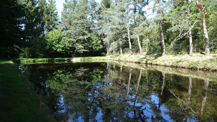 Ma-Cabane - Vente Terrain Saint-Pal-de-Mons, 3900 m²